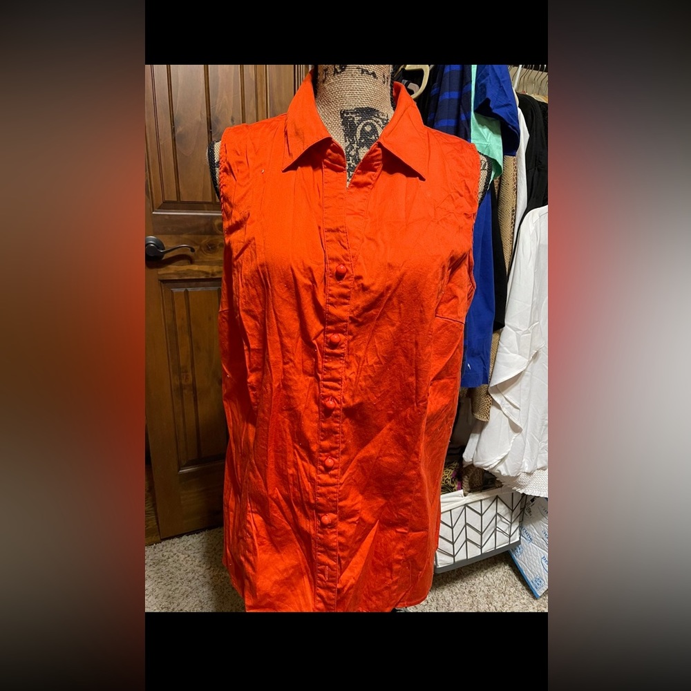 Lane Bryant size 20 top